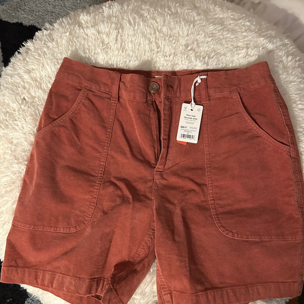 Marine layer Shorts